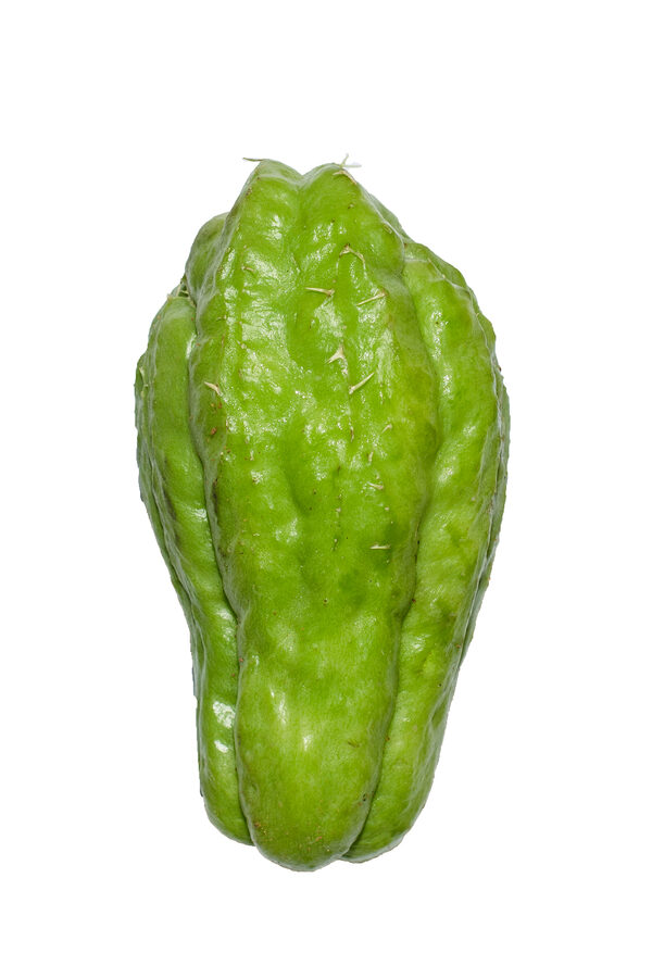 Cho-Cho (Chayote)